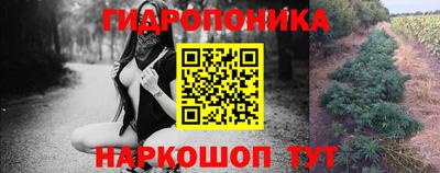 бошки Тверь