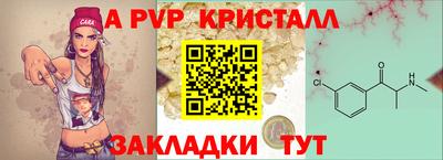 бошки Тверь