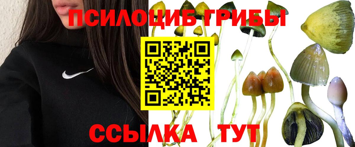 Новый Уренгой  купить  сайты  Вход с VPN  Псилоцибиновые грибы ЛСД 